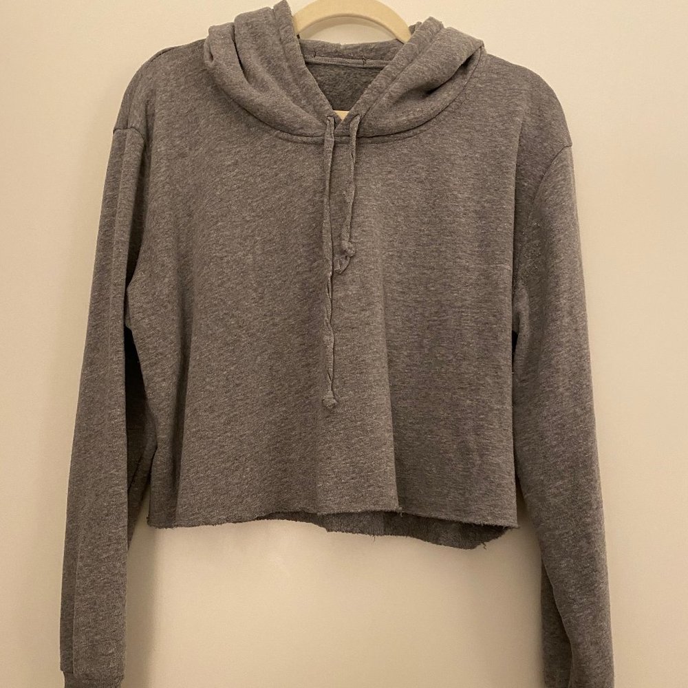 Brandy Melville Grey Cropped Sweater